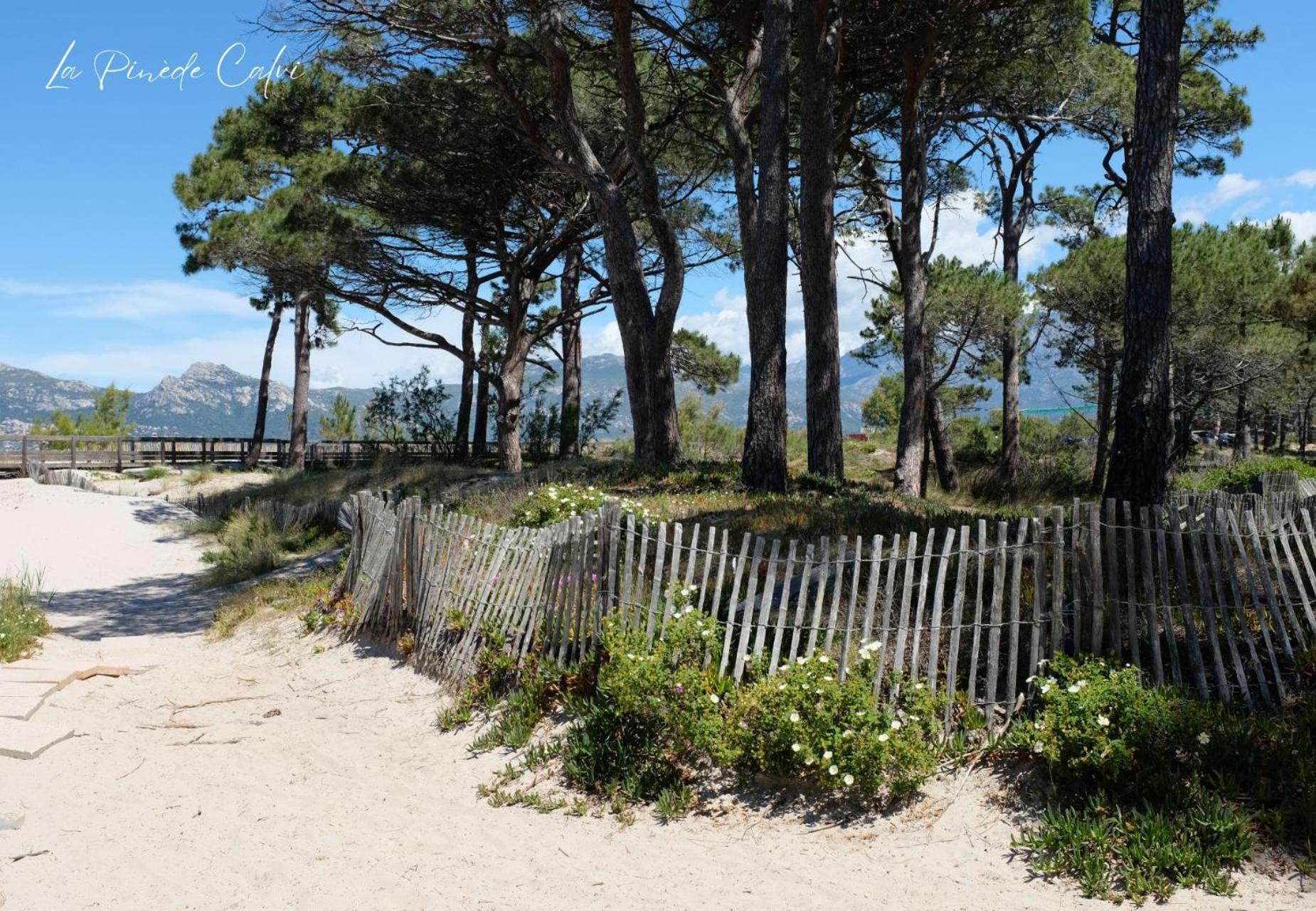 Les Pieds Dans L'Eau T2 E Apartment Calvi  Exterior foto